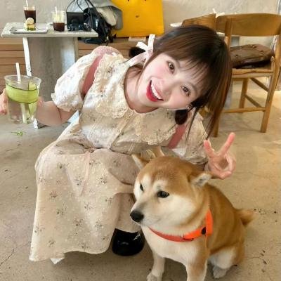 战争姐妹